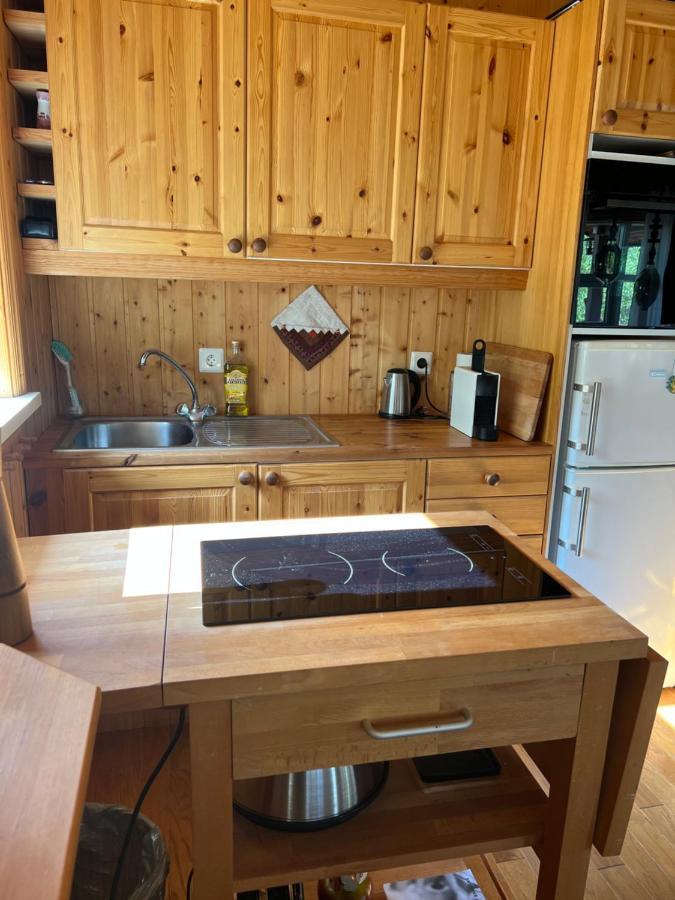 Summerhouse Vaglaskogur Akureyri Eksteriør billede