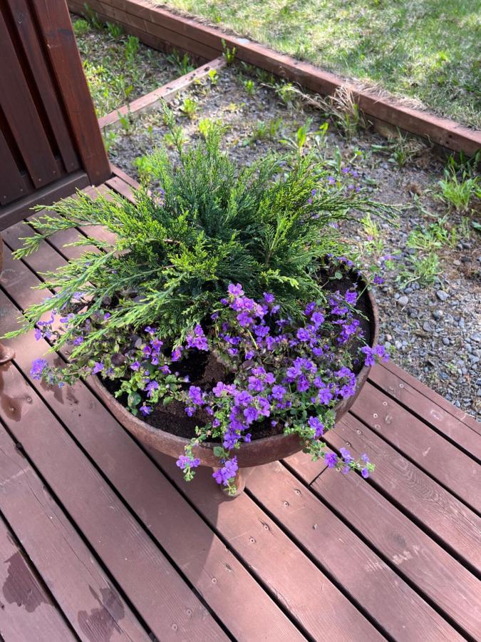 Summerhouse Vaglaskogur Akureyri Eksteriør billede